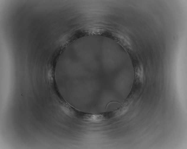X0000111580663200907161426