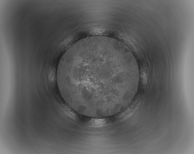 X0000111580665200907161426