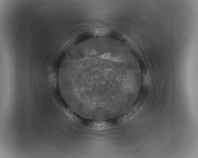 X0000111580666200907161426