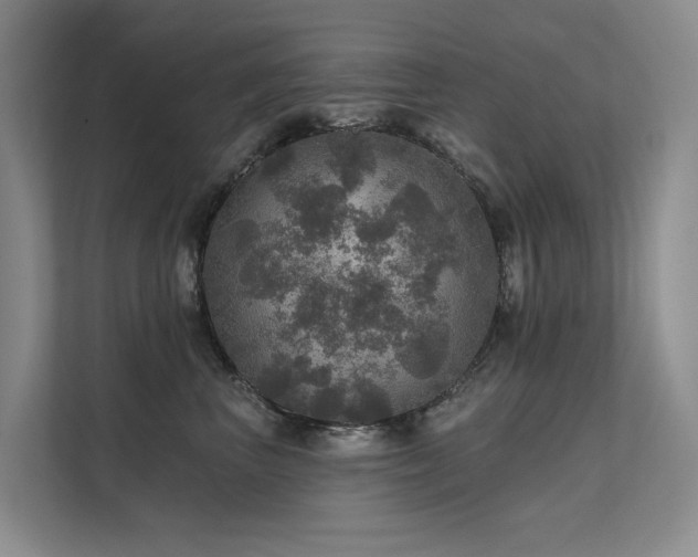 X0000111580667200907161426