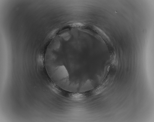 X0000111580669200907161426