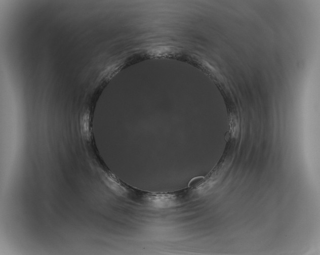 X0000111580670200907161426