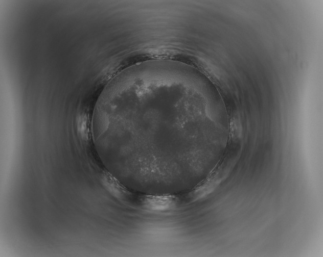 X0000111580671200907161426