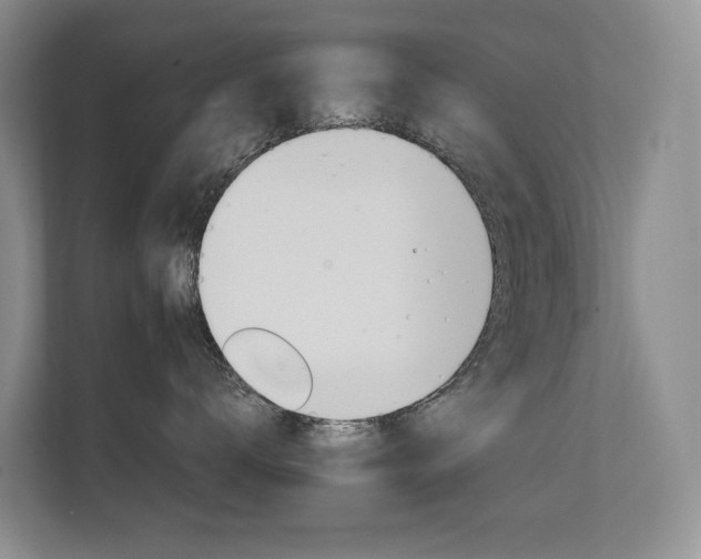 X0000111580672200907161426