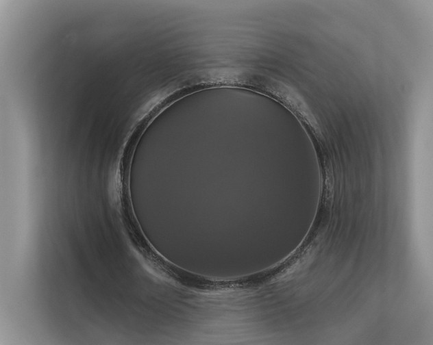 X0000111580674200907161425