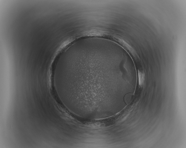 X0000111580675200907161425