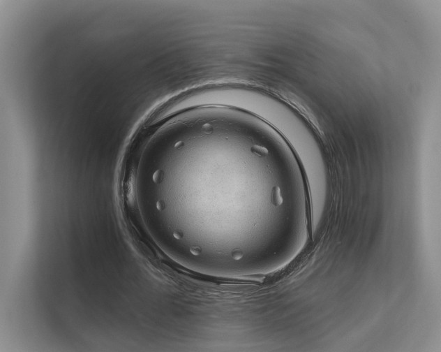 X0000111580676200907161425