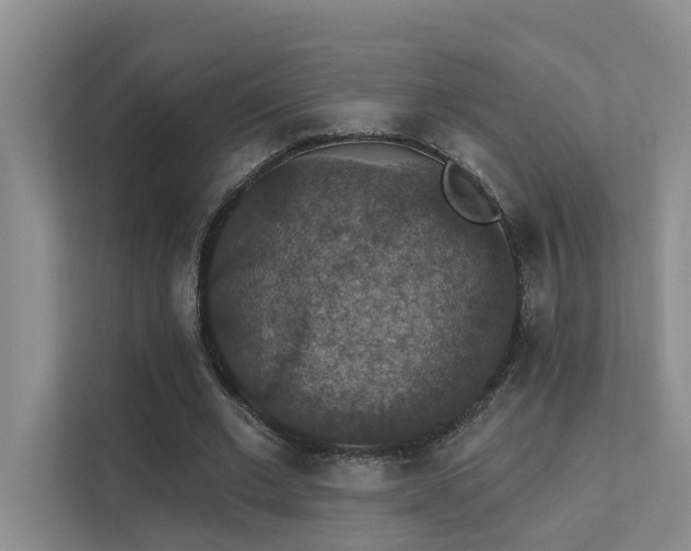 X0000111580677200907161425
