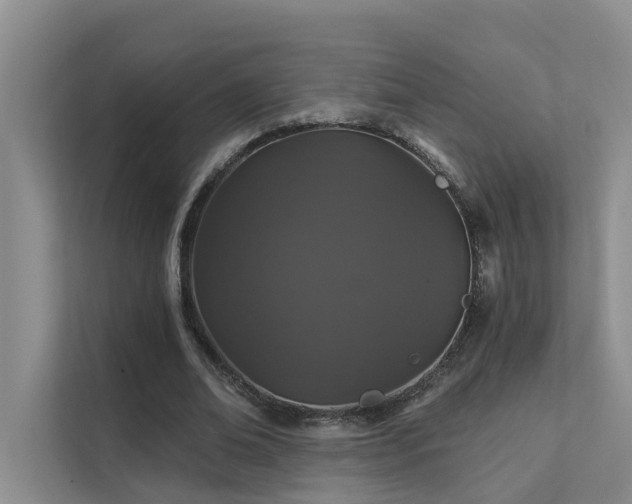 X0000111580678200907161425
