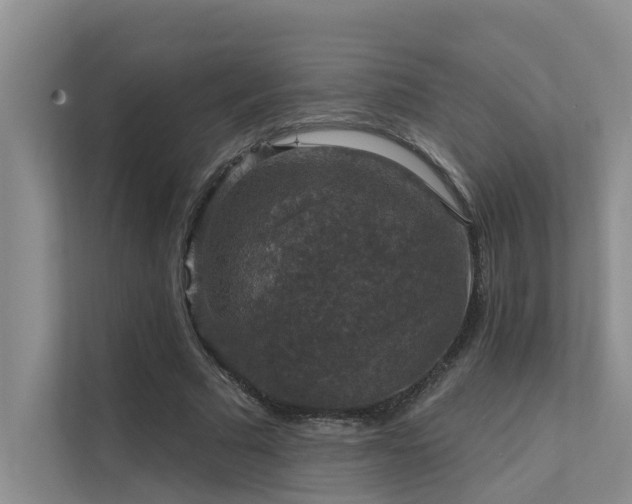 X0000111580681200907161425