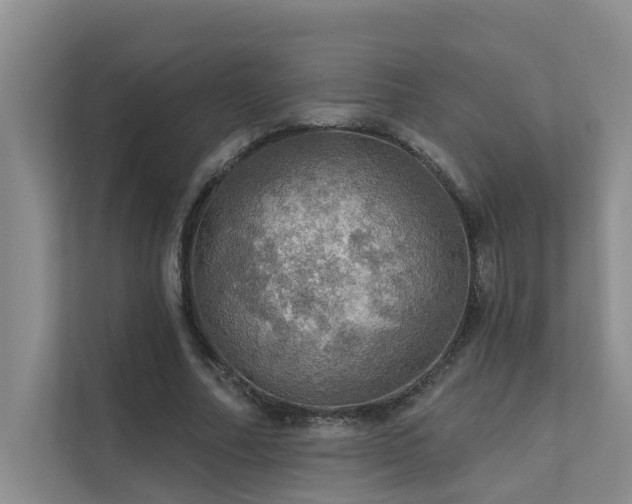 X0000111580682200907161425