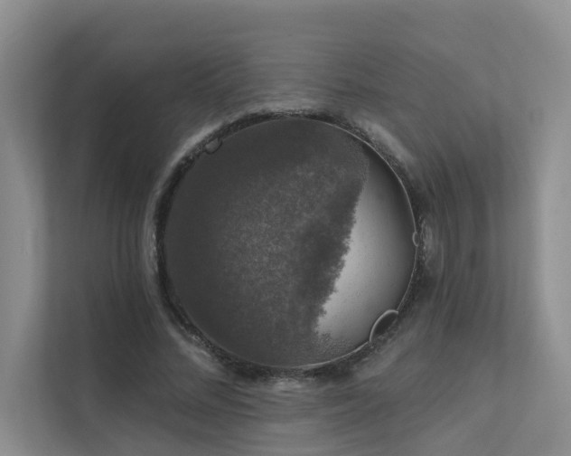 X0000111580684200907161425