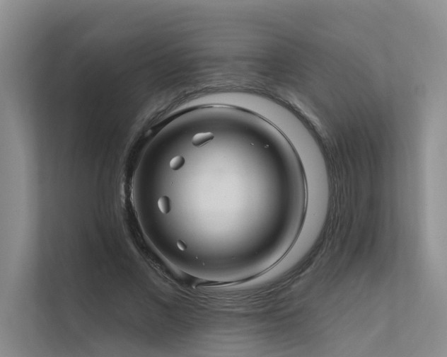 X0000111580685200907161425