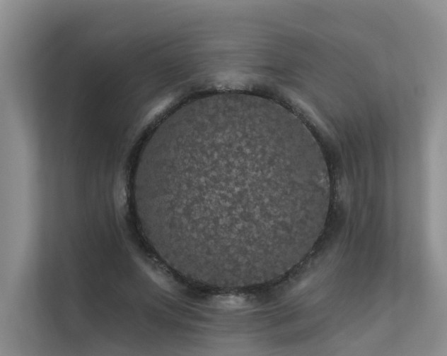 X0000111580687200907161425