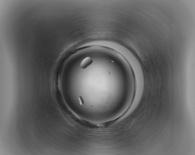 X0000111580688200907161425