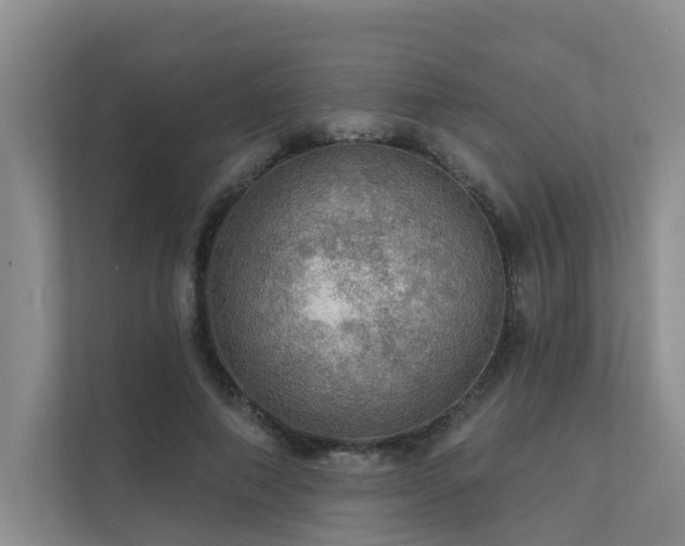 X0000111580690200907161425
