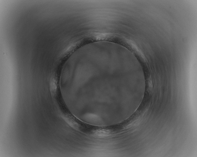 X0000111580691200907161425