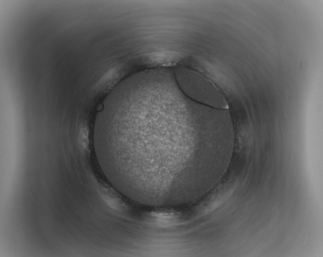 X0000111580693200907161425