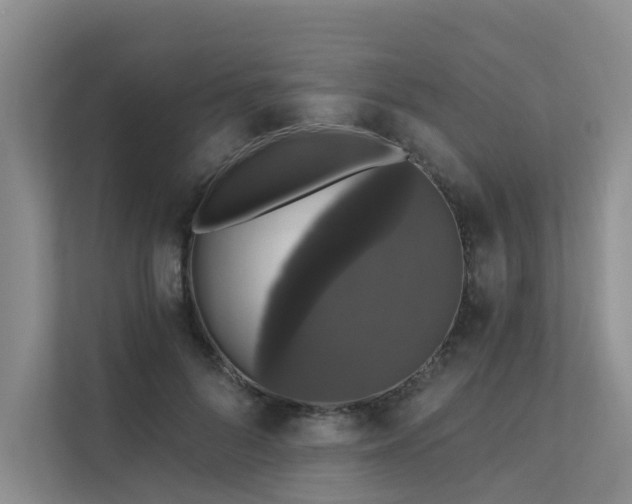 X0000111580696200907161425