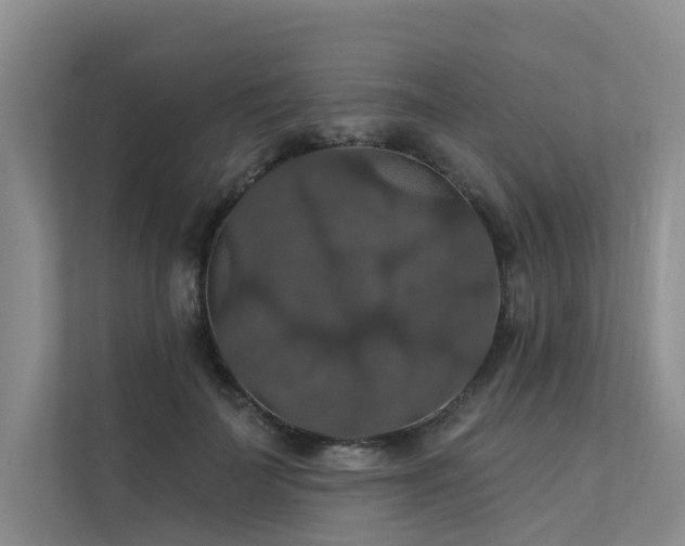 X0000111580699200907161425