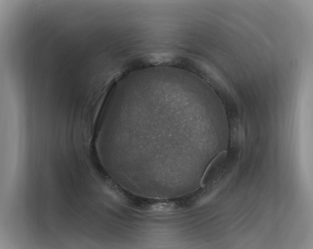 X0000111580700200907161425