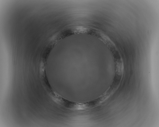X0000111580701200907161425