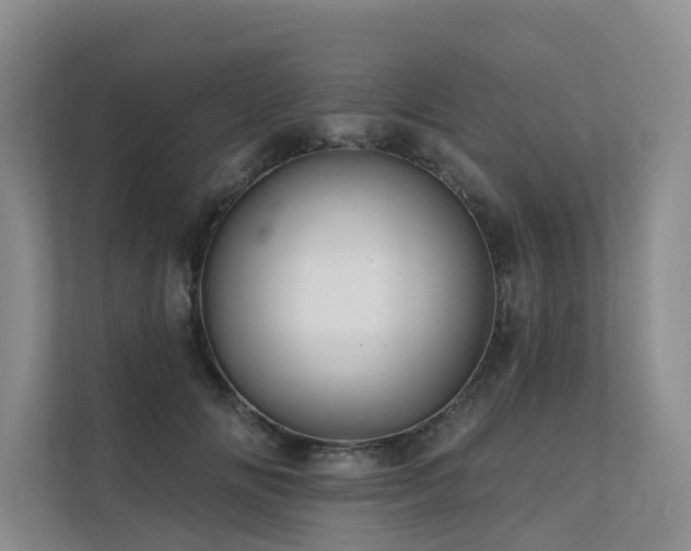X0000111580702200907161425