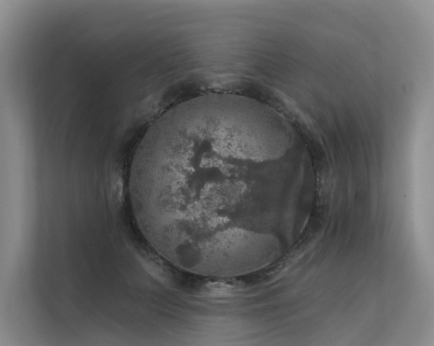 X0000111580703200907161425