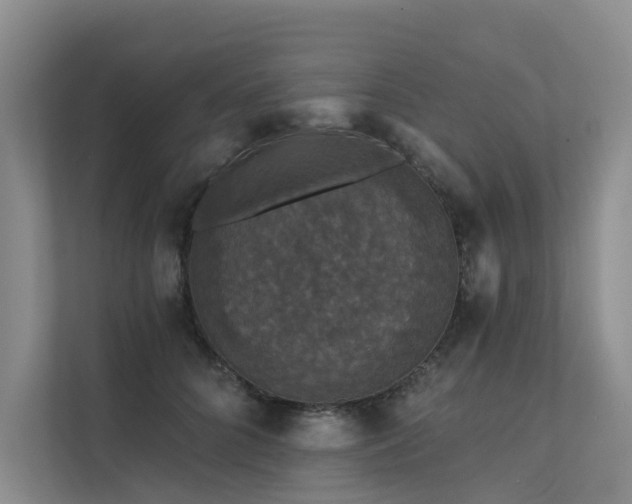 X0000111580704200907161425