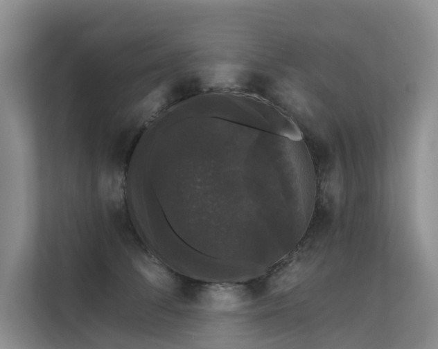 X0000111580708200907161425