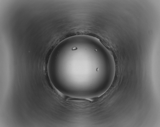 X0000111580709200907161425