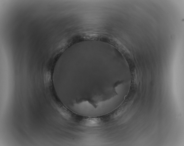 X0000111580711200907161425