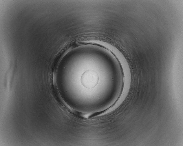 X0000111580712200907161425