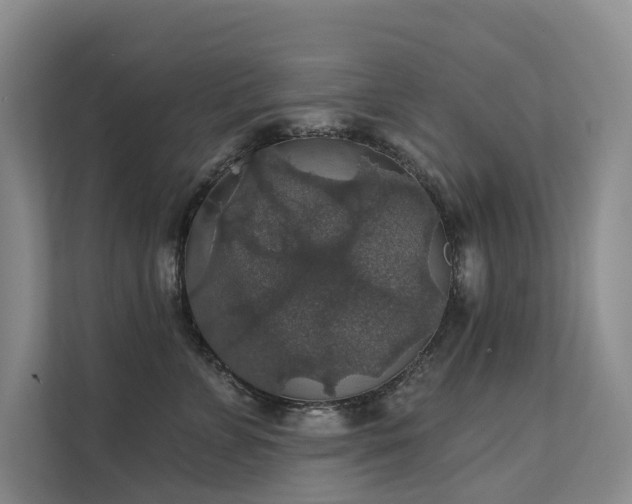 X0000111580715200907161425