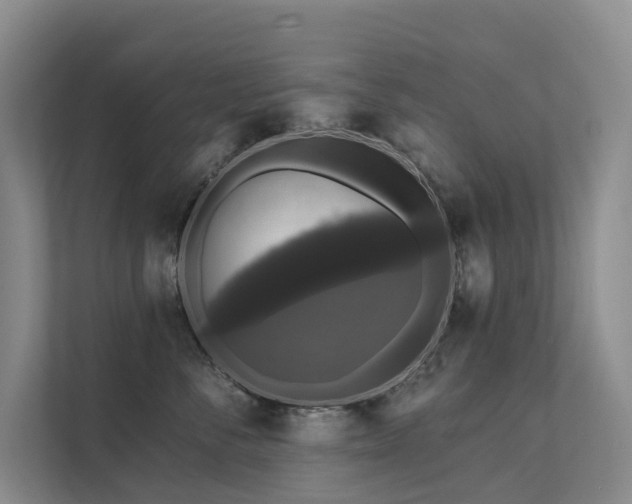 X0000111580716200907161425