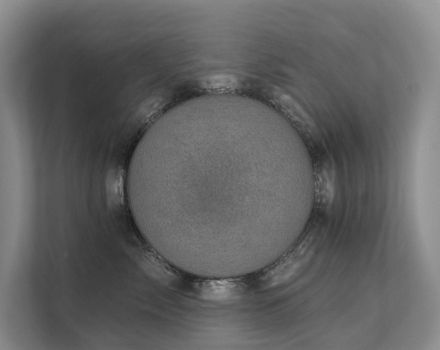 X0000111580717200907161425