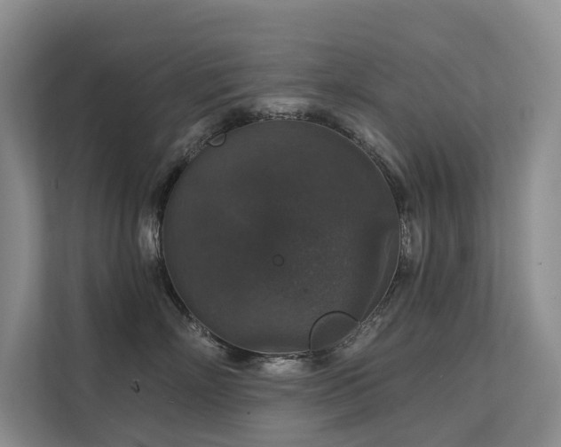 X0000111580718200907161425