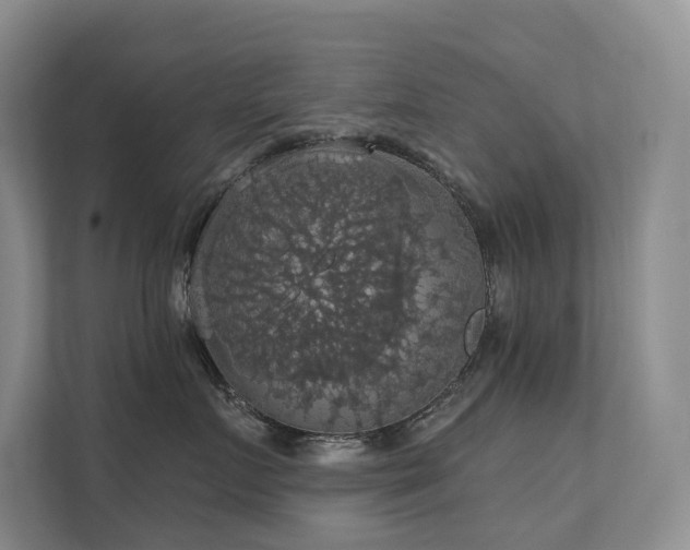 X0000111580719200907161425