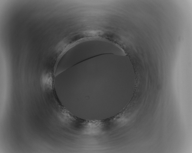 X0000111580720200907161425