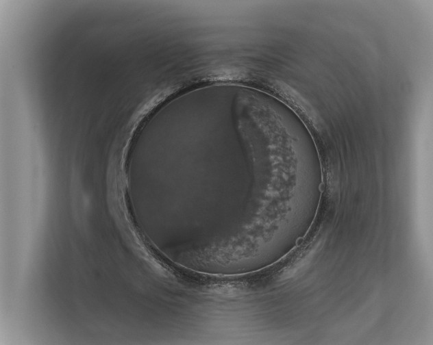 X0000111580721200907161424
