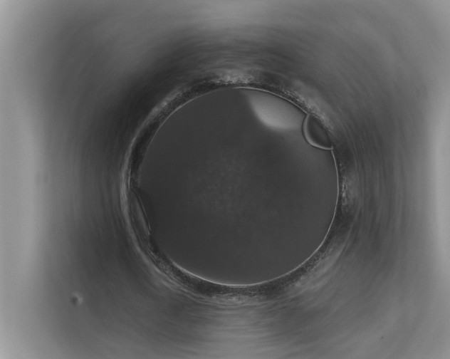 X0000111580722200907161424