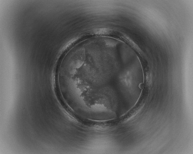 X0000111580725200907161424