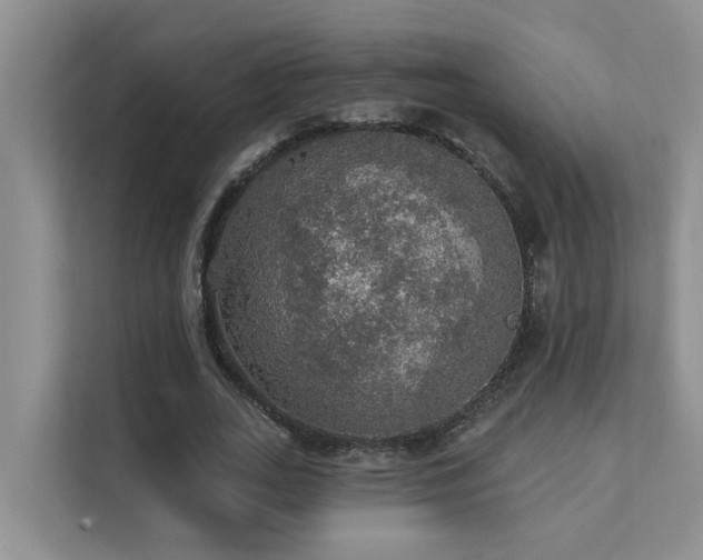 X0000111580727200907161424