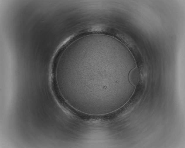 X0000111580728200907161424