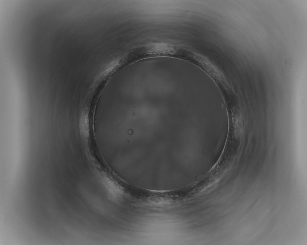 X0000111580729200907161424