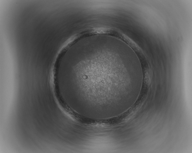 X0000111580730200907161424