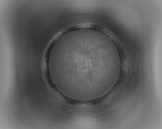 X0000111580731200907161424