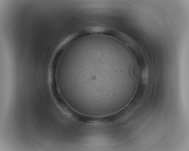 X0000111580732200907161424