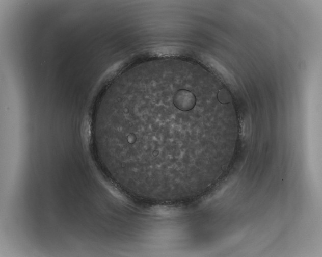 X0000111580733200907161424