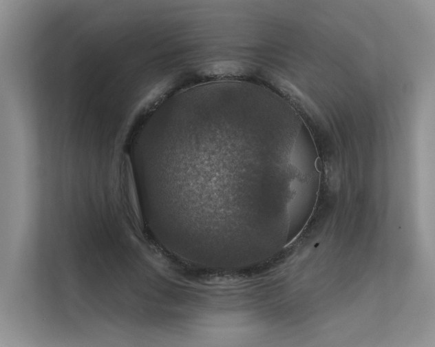 X0000111580735200907161424